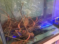 -旅南活海鲜-屏东(墾丁海鮮，海鮮餐廳，墾丁團體合菜，平價熱炒，墾丁熱炒店，活海鮮推薦，在地海鮮餐廳)