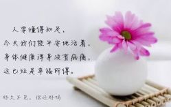 -薇兰专业脱毛连锁机构