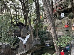 -巴倒烫陆派重庆火锅(南山店)