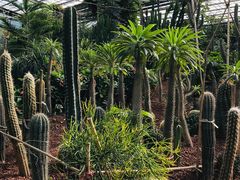 -呀路古热带植物园