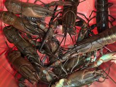 -虾胡闹龙虾馆(湄南河店)