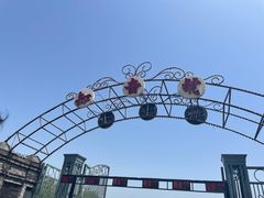 -武汉知音号