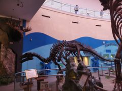 -陕西自然博物馆