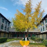 坐火车到杨村站or武清站，再打个车就到了