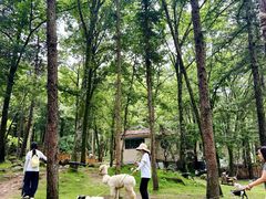 -洛阳白云山景区