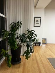 -阿南达·瑜伽普拉提·阿育吠陀疗愈中心