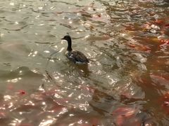 -泰安地下龙宫景区