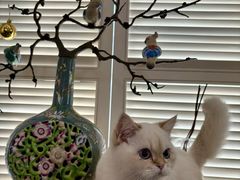 -22ºN BISTRO西餐&酒馆(石奥商业街店)