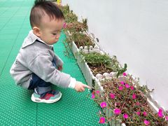 -奇乐全日制婴儿学校·早教