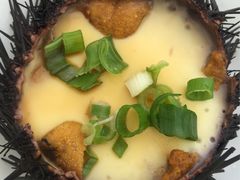 -海胆小馆(东北水饺·春柳店)