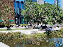 -星巴克(深圳前海企业公馆店)