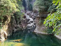 -龙湾潭国家森林公园