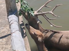 -宁波杭州湾国家湿地公园