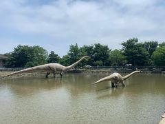 -上海海湾国家森林公园