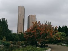 -大望京公园