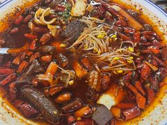 -青城甲(青城山店)