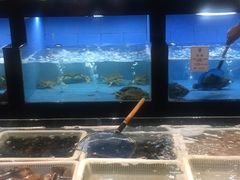 水产区-石浦大酒店(百丈店)