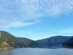 -芦茨金富饭庄·25年老字号·专做稻草鸡
