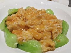 蟹黄扒鱼肚-燕春楼(海河华鼎店)