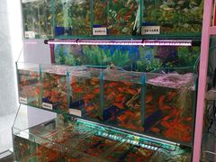 -华润万家(临城店)