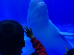 -多彩贵州城极地海洋世界