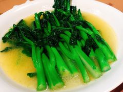 -新南华大酒店(广中店)