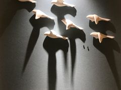 -泰顺江南春面馆