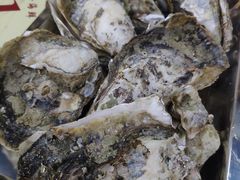 原只木盖蒸生蚝-蚝得喜海鲜(东城店)