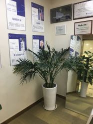 -贞禾医美·连锁