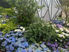 -深圳仙湖植物园