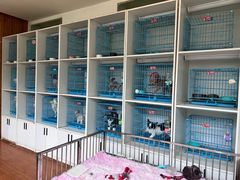 -上海佘山茂御臻品之选酒店(原佘山艾美酒店)