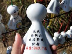 -梧桐山风景名胜区