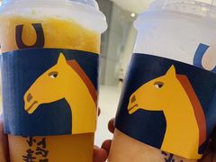 -春丽小马(济南恒隆广场店)