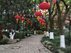 -瀛洲公园