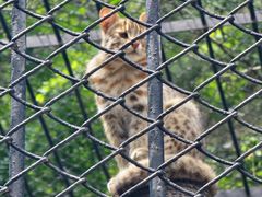 -大连森林动物园