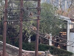 -昆明动物园