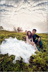 -施华洛婚纱摄影会所(范阳中路店)