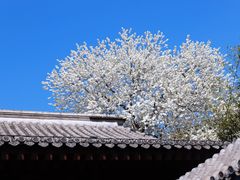 -金宫殿故址