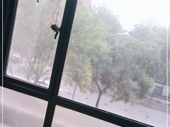 -小杨烤肉(朱雀店)