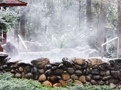 -金方森林温泉