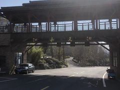 -江南天池