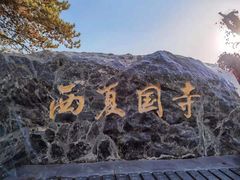 -张掖大佛寺景区