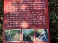 -梧桐山风景名胜区