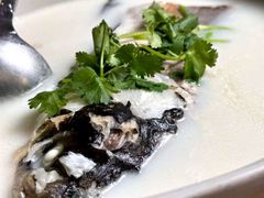 -紫藤园·天目湖大鱼头(南山竹海店)