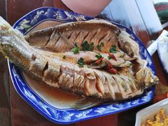 清蒸白丝鱼-乡乐园蟹庄·阳澄湖农家乐