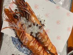 -月龍吟(朝龙汇店)