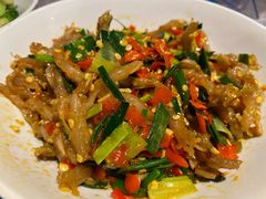 鸭掌筋-壹盏灯(惠农店)