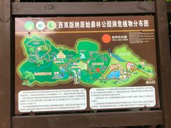 -西双版纳原始森林公园