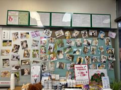 -爱妮康宠物医院·干细胞免疫细胞·肿瘤·心脏(张江店)