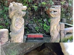 -南山植物园